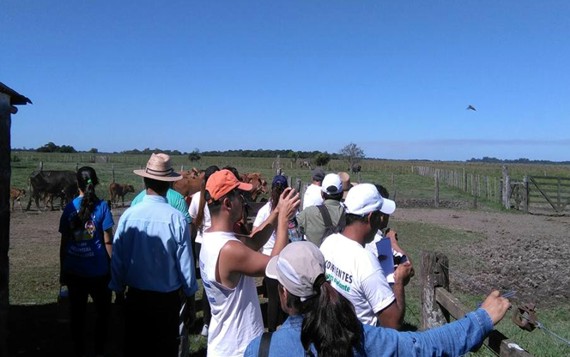 Palmar grande